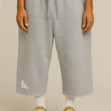 Cropped Sweat (gray)